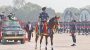 পুলিশের ২৫০ ক্যাডেট এসআইকে অব্যাহতি