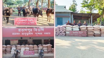 চুরাশি লাখ টাকার চোরাই পণ্য জব্দ করলো বিজিবি