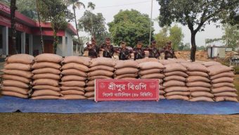 সিলেটে অর্ধকোটি টাকার চোরাই পণ্য জব্দ করল বিজিবি