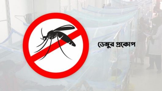 ডেঙ্গু পরিস্থিতি কোনদিকে যাচ্ছে?