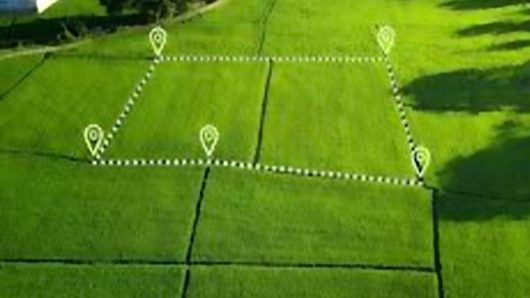 ভূমিসেবার নাকাল দশা!