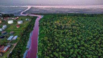 হঠাৎ রক্তবর্ণ আর্জেন্টিনার একটি নদীর পানি