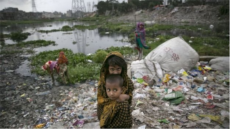 যেভাবে ধ্বংস করা হচ্ছে বিয়ানীবাজারের পরিবেশ বৈচিত্র্য