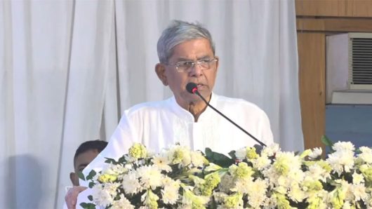 একাত্তরে আ.লীগ নেতারা পালিয়েছিলেন : মির্জা ফখরুল