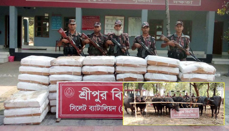 সিলেট সীমান্তে জব্দ চাল-পশু