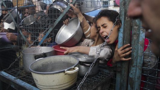 দুর্ভিক্ষের ‘প্রথম ধাপে’ গাজা