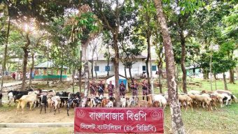 সীমান্তে আটক দুম্বা-ছাগল
