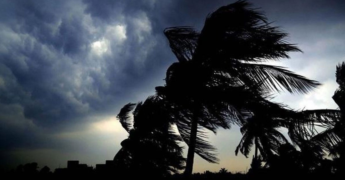 ১৩ দিন বৃষ্টিবলয়ে থাকতে পারে দেশ!