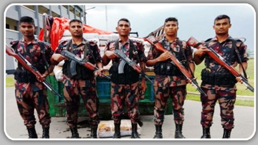 মাধবপুরে ট্রাকে যা পেল বিজিবি