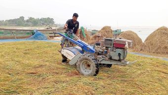 বিয়ানীবাজারে কিষান-কিষানিদের ব্যস্ত সময়