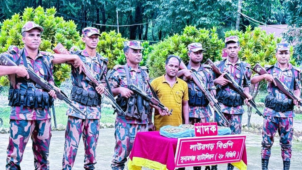 শিমুল বাগানে গাঁজার বিশাল চালান : গ্রেফতার ১