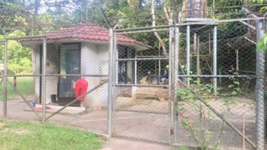 মাগুরছড়া বিস্ফোরণ : ২৮ বছরেও মিলেনি ক্ষতিপূরণ