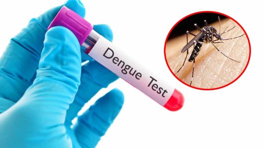 ডেঙ্গু বাড়ছে জ্যামিতিক হারে, বিপদজনক পরিস্থিতির আশঙ্কা