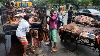 সিন্ডিকেট দৌরাত্ম্যে দাম মেলেনি চামড়ার