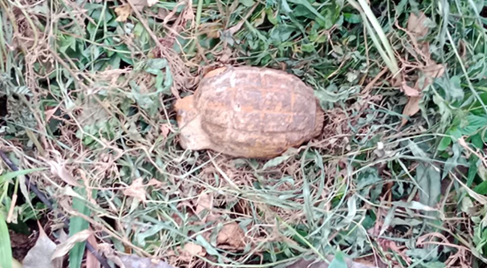 কমলগঞ্জে গর্ত থেকে গ্রেনেড উদ্ধার