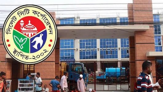 এনসিপি’র পোস্টার ছেঁড়ায় সিসিক’র ৩ কর্মী বহিস্কার