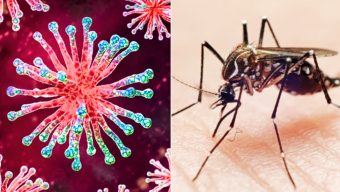 সিলেটে করোনা ও ডেঙ্গু আক্রান্তের সংখ্যা বাড়ছেই