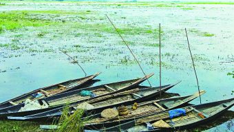 মুড়িয়া হাওরে মাছের অভয়াশ্রম নেই