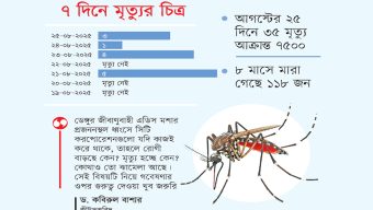 ডেঙ্গুতে সর্বোচ্চ মৃত্যু বাংলাদেশে