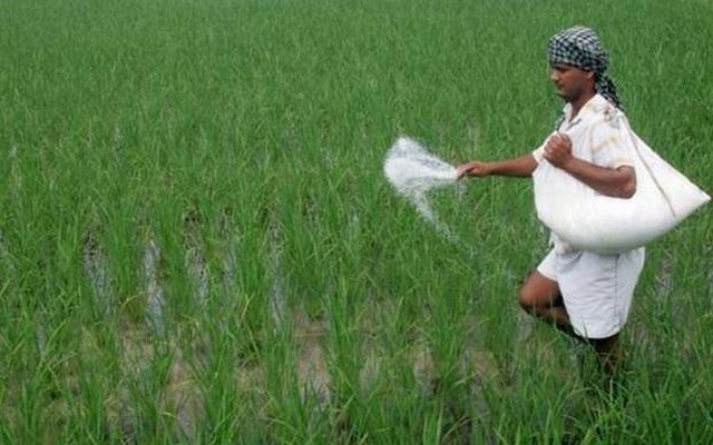 সার সরবরাহে ‘অব্যবস্থাপনা’, বাড়তি দাম গুনছেন কৃষক