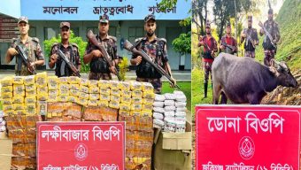 সিলেটের জৈন্তাপুর, জকিগঞ্জ ও কানাইঘাট সীমান্তে জব্দ বিড়ি, চিনি ও মহিষ