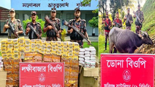 সিলেটের জৈন্তাপুর, জকিগঞ্জ ও কানাইঘাট সীমান্তে জব্দ বিড়ি, চিনি ও মহিষ