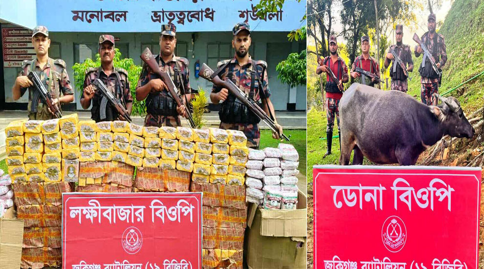 সিলেটের জৈন্তাপুর, জকিগঞ্জ ও কানাইঘাট সীমান্তে জব্দ বিড়ি, চিনি ও মহিষ