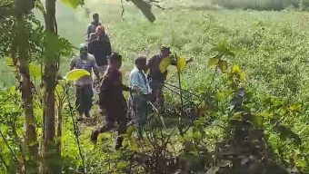 সিলেট সীমান্তে মদের বিশাল চালান নিয়ে ঢুকার চেষ্টা : বিজিবির ধাওয়া