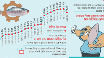 ইলিশের দাম নিয়ে অসহায়ত্ব