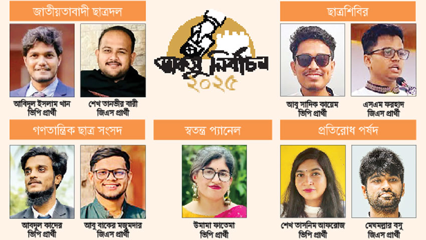 শিক্ষার্থীদের স্বার্থ নাকি লেজুড়বৃত্তি: কী হবে ডাকসু নেতাদের ভূমিকা