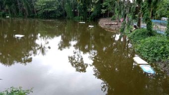 চুনারুঘাটে বিয়ে বাড়িতে পুকুরে ডুবে তিন শিশুর মৃত্যু