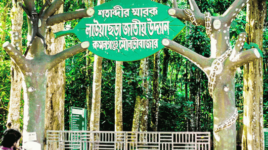 লাউয়াছড়ায় গাড়িচাপায় সিপিজি সদস্য নিহত