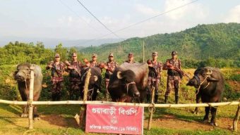সিলেটে ১৬ লাখ টাকার ভারতীয় গরু-মহিষ আটক