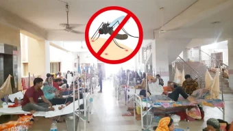 ডেঙ্গুতে ৯ জনের মৃত্যু, হাসপাতালে ভর্তি ১০৪২ জন