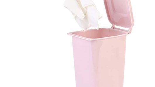 বিয়ানীবাজার পৌরশহর: গায়েব হচ্ছে ‘মিনি ডাস্টবিন’