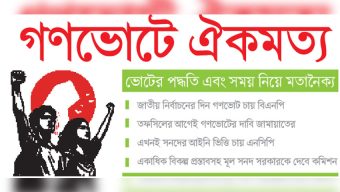 গণভোটে ঐকমত্য