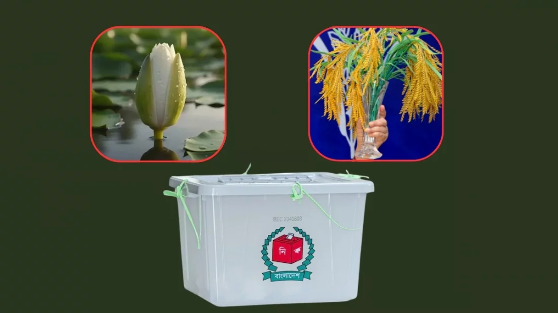 ‘ধানের শীষ’ আর ‘শাপলা কলিতে’ হবে ফাইট: নাসীরুদ্দীন