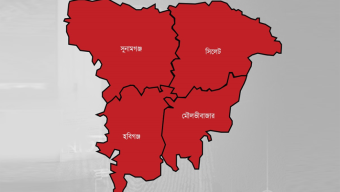 সিলেটের ২ জেলায় দ্রুত ছড়াচ্ছে যে ভাইরাস