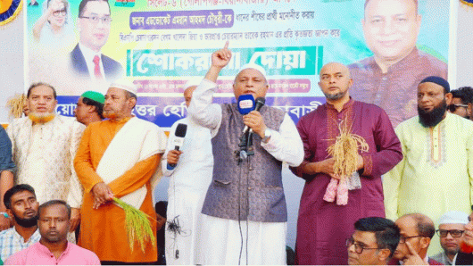 সিলেট-৬ আসনে ৫৪ বছর শুধু ধানের চাষ হয়েছে, এবার ফসল তোলার পালা’