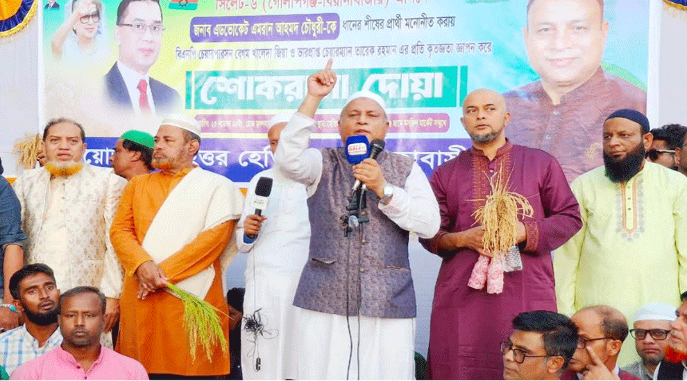 সিলেট-৬ আসনে ৫৪ বছর শুধু ধানের চাষ হয়েছে, এবার ফসল তোলার পালা’