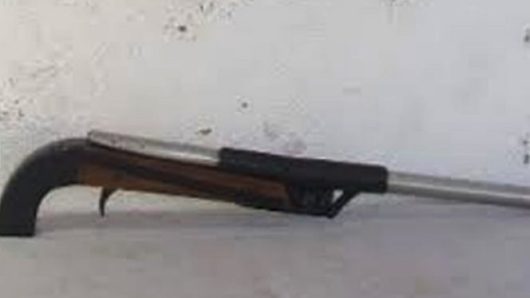 বিয়ানীবাজারে বাঁশঝাড়ের ভিতর থেকে শটগান উদ্ধার