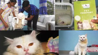 পাসপোর্ট নিয়ে মুন্সীগঞ্জের বিড়াল গেল ইতালিতে!