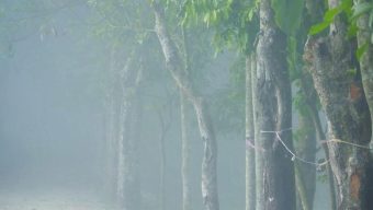 বিয়ানীবাজারে বাড়ছে শীতের তীব্রতা