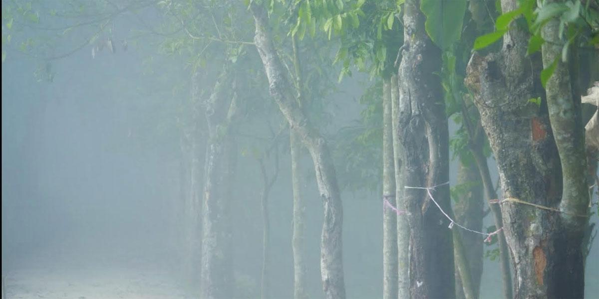 বিয়ানীবাজারে বাড়ছে শীতের তীব্রতা
