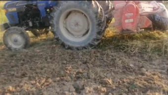 বিয়ানীবাজারের পল্লীতে ‘পাকা ধানে মই’ দেয়ার অভিযোগ