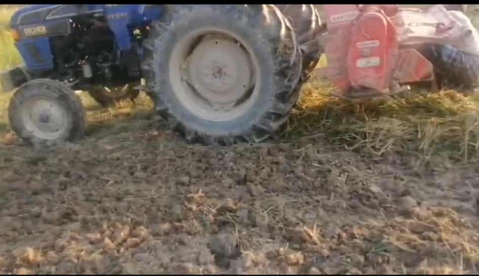 বিয়ানীবাজারের পল্লীতে ‘পাকা ধানে মই’ দেয়ার অভিযোগ