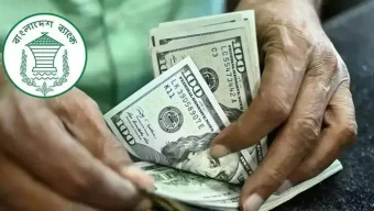 নভেম্বরে ৩৫ হাজার কোটি টাকা পাঠিয়েছেন প্রবাসীরা