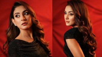 অ্যাওয়ার্ড নাইটে নজর কাড়লেন মেহজাবীন
