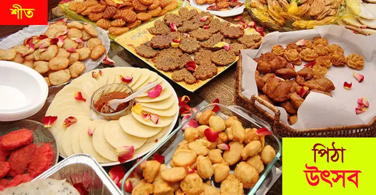বিয়ানীবাজারে জার্নালিস্টস এসোসিয়েশনের পিঠা উৎসব আজ
