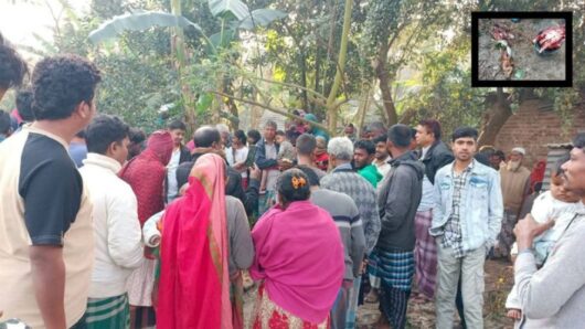 খাসির মাংস বলে কুকুরের মাংস বিক্রি !
